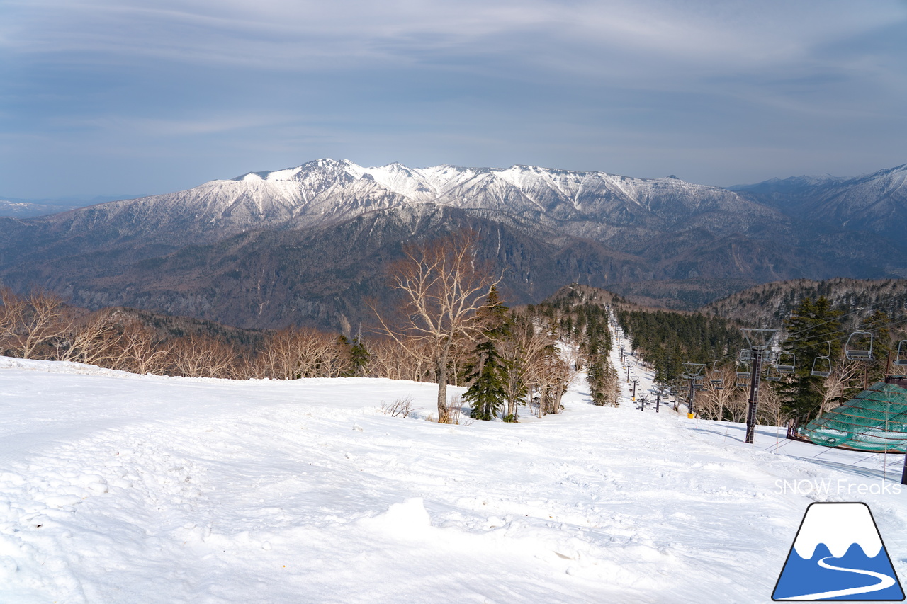 大雪山層雲峡・黒岳ロープウェイスキー場｜驚異の積雪 290cm！コンディション上々な黒岳で、最高に気持ちの良い春スキー＆スノーボードを楽しみましょう♪